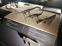 Duit Berbentuk Binatang