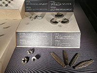 Mata Wang Berbentuk Jongkong Timah