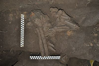 Replika Rangka Gua Bewahman